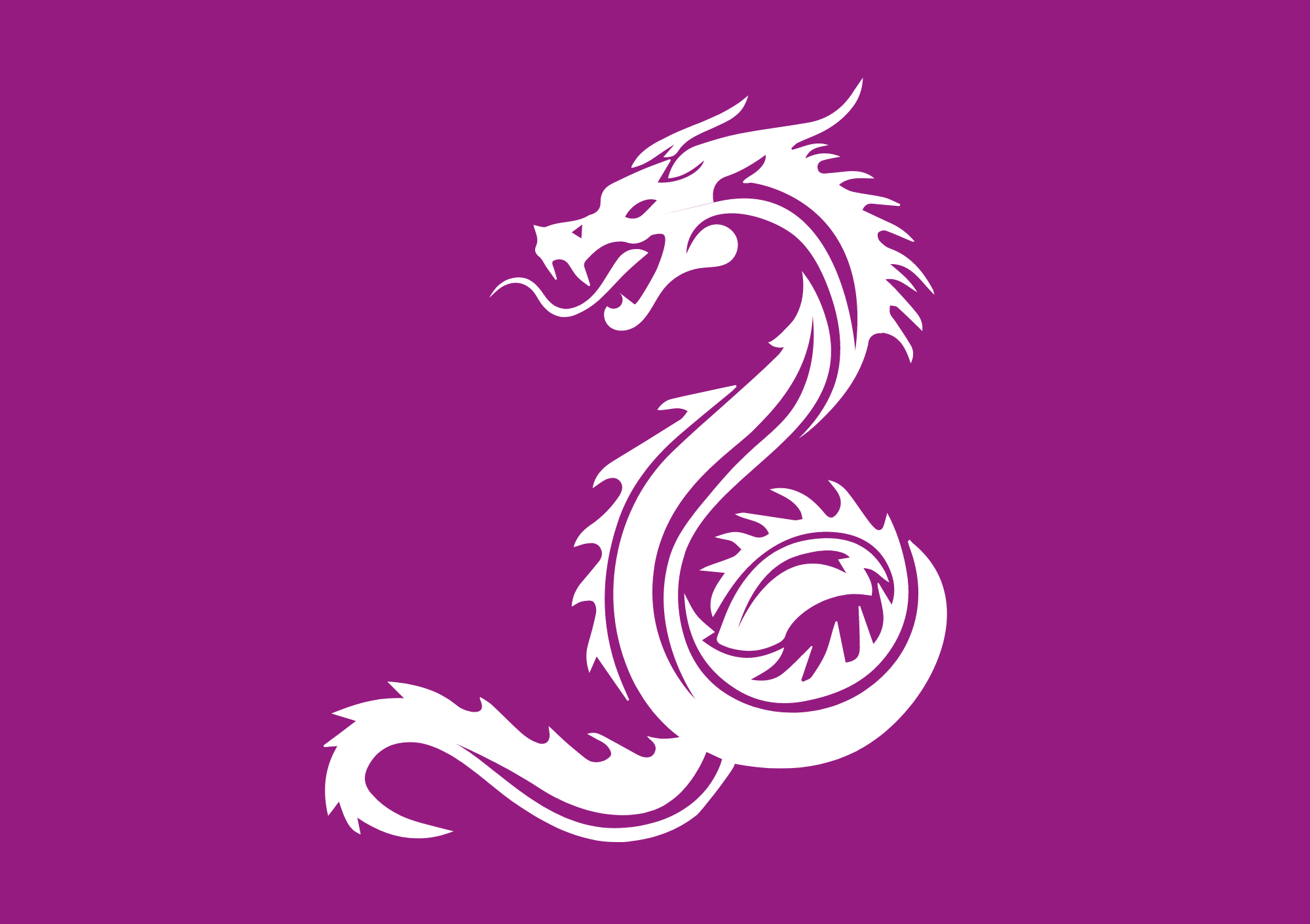 CNB.nl | Het jaar van de draak!